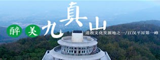 插骚B区